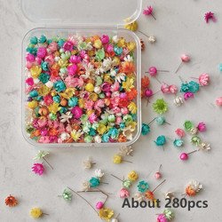 Multi-Color