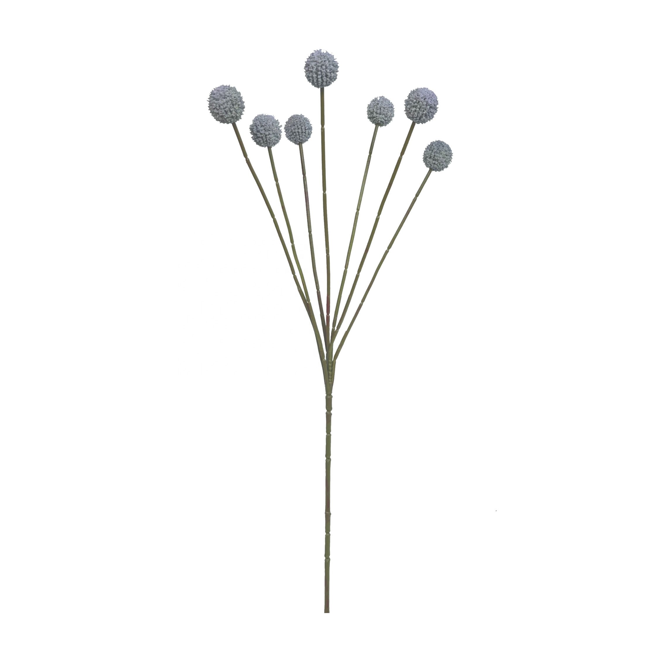 Natural Dry Flowers Preserved Billy Button Dried Craspedia Flower Yunnan Dried Flower Centerpieces For Boho Home Decor