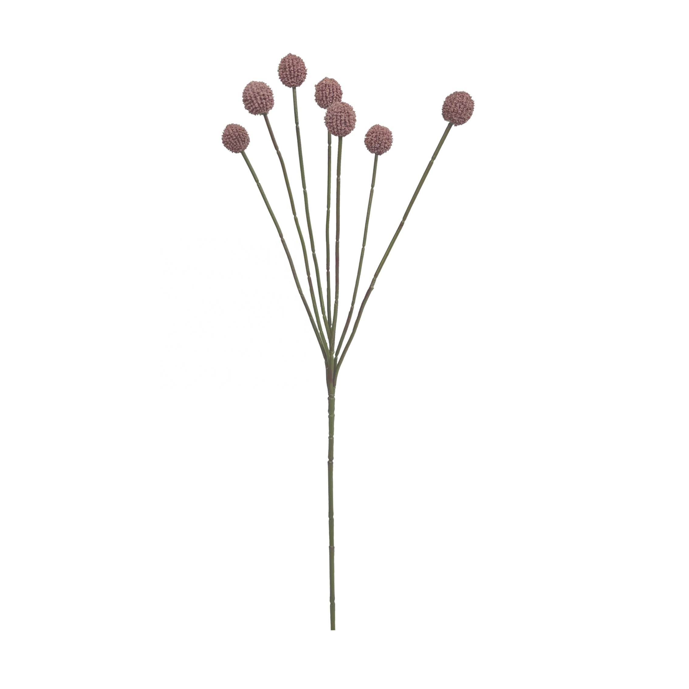 Natural Dry Flowers Preserved Billy Button Dried Craspedia Flower Yunnan Dried Flower Centerpieces For Boho Home Decor