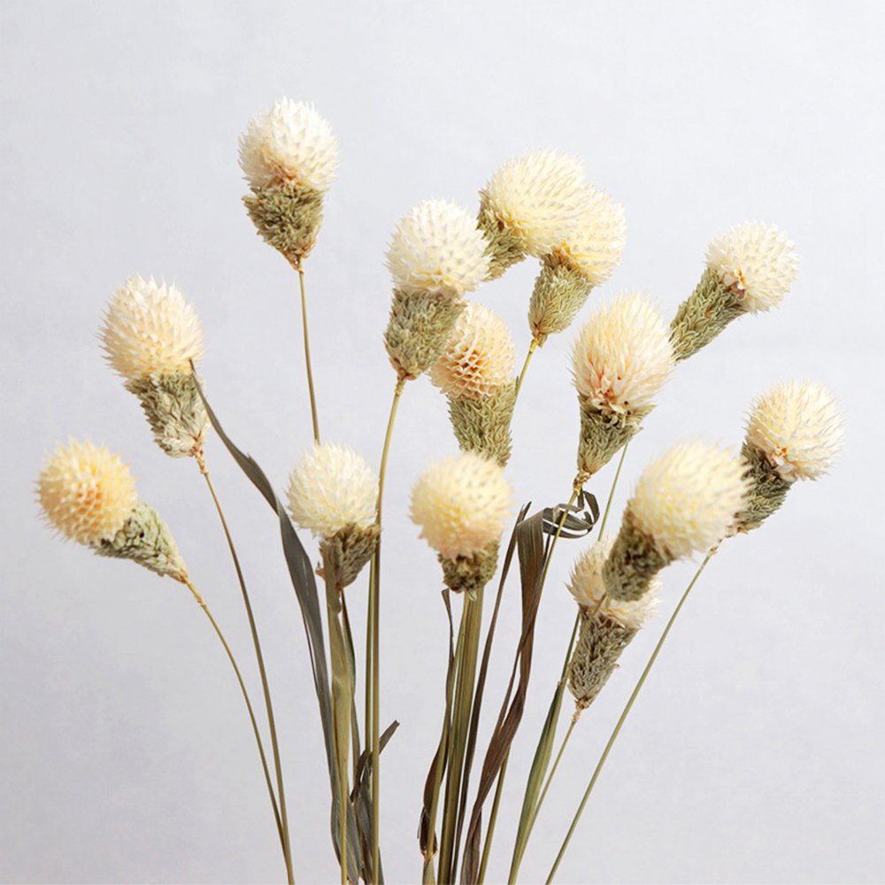 Selling decorative dried bouquets wholesale multi-color strawberry fruit dried flowers eternal flowers