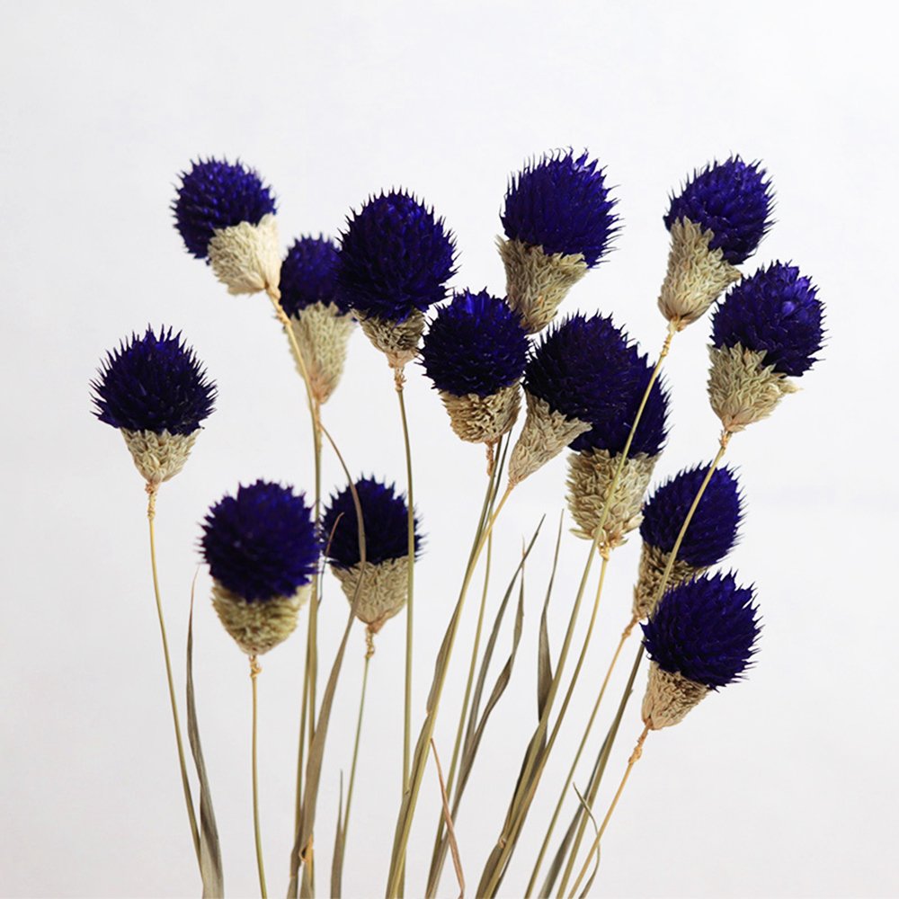Selling decorative dried bouquets wholesale multi-color strawberry fruit dried flowers eternal flowers