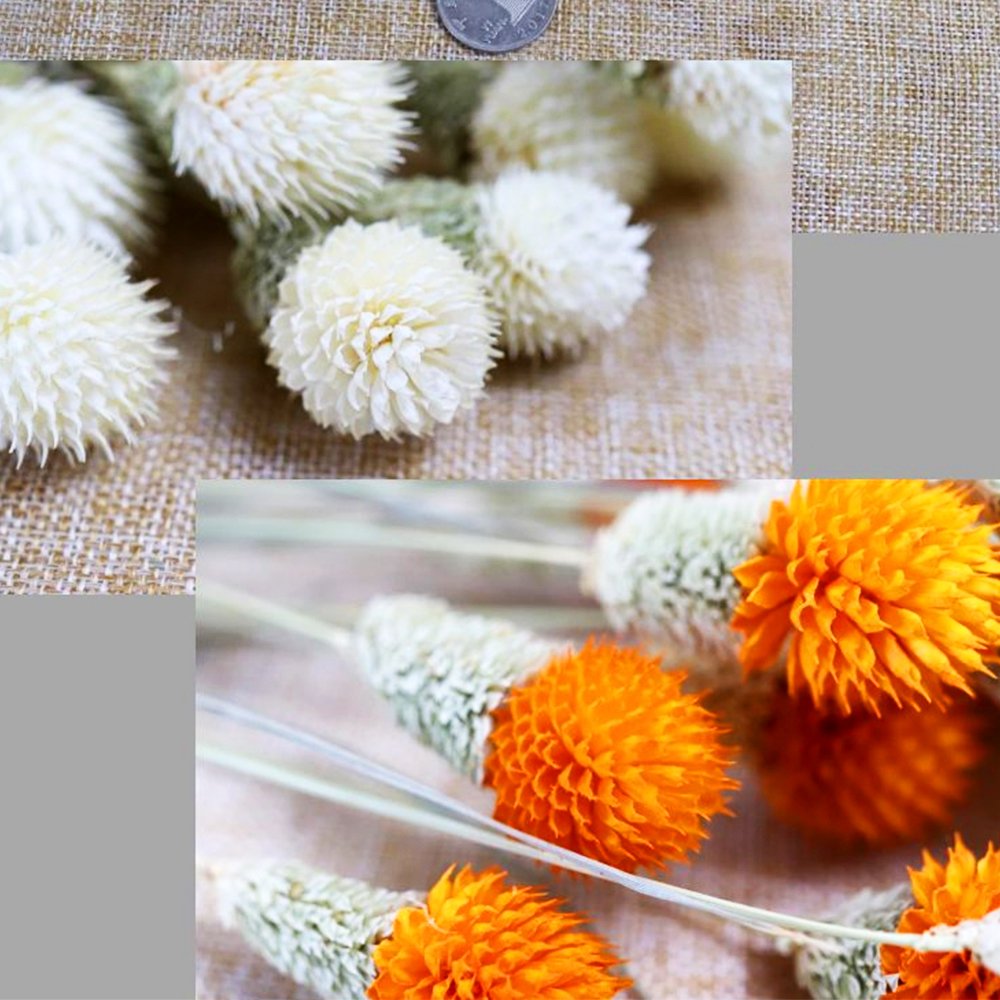 Selling decorative dried bouquets wholesale multi-color strawberry fruit dried flowers eternal flowers