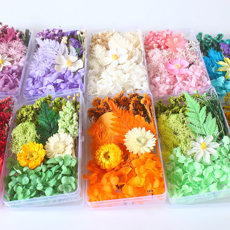 Hot Sale Diy Dry Flower For Resin Dried Pressed Flowers Resin Flower