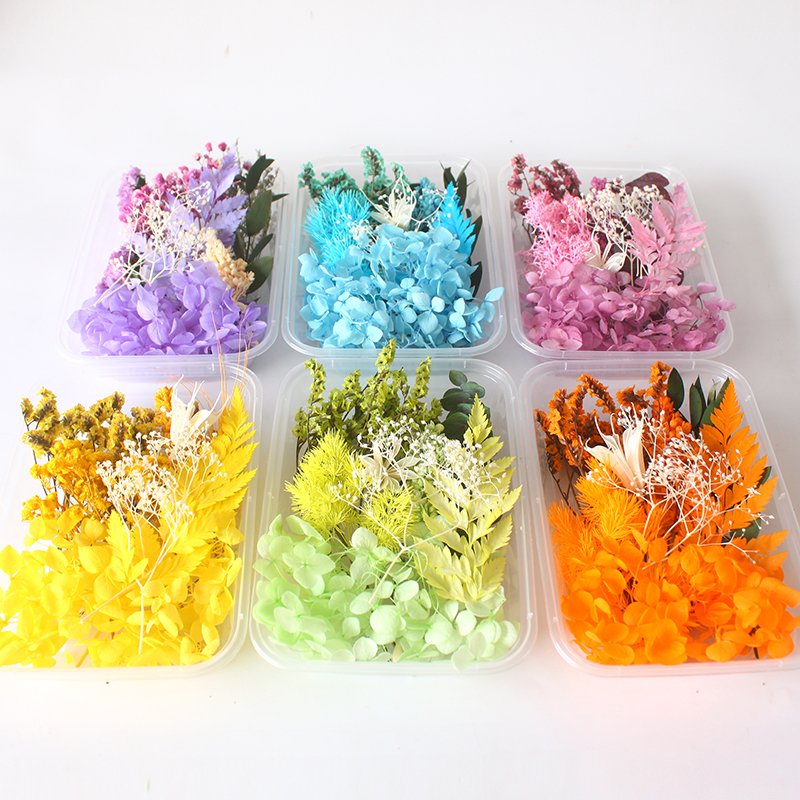 Hot Sale Diy Dry Flower For Resin Dried Pressed Flowers Resin Flower