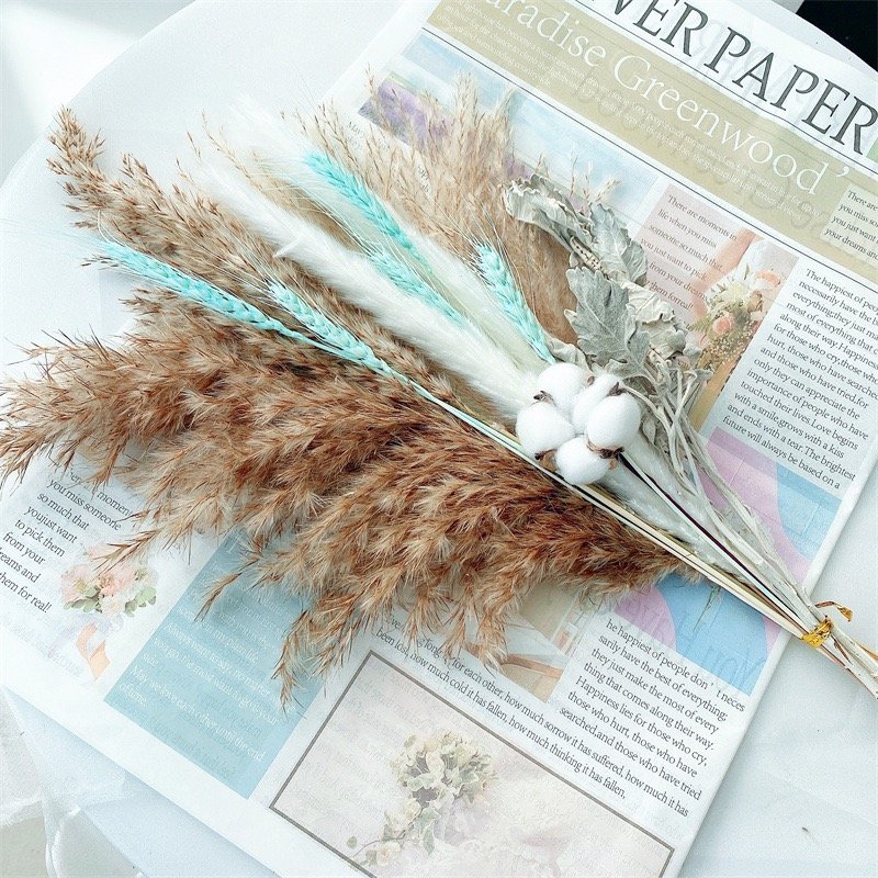 2022 New Natural Dried Flowers Bouquet Daisy Flowers Decor Artificial Gypsophila Cotton Bouquets Real Touch Flowers for Vase