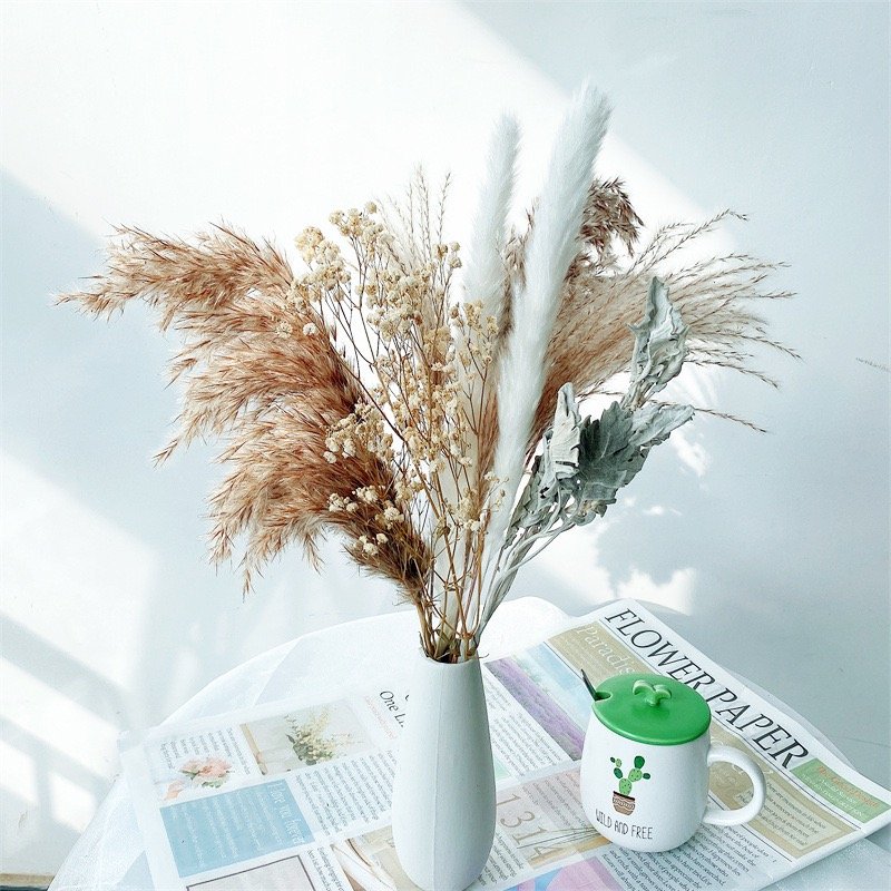 2022 New Natural Dried Flowers Bouquet Daisy Flowers Decor Artificial Gypsophila Cotton Bouquets Real Touch Flowers for Vase
