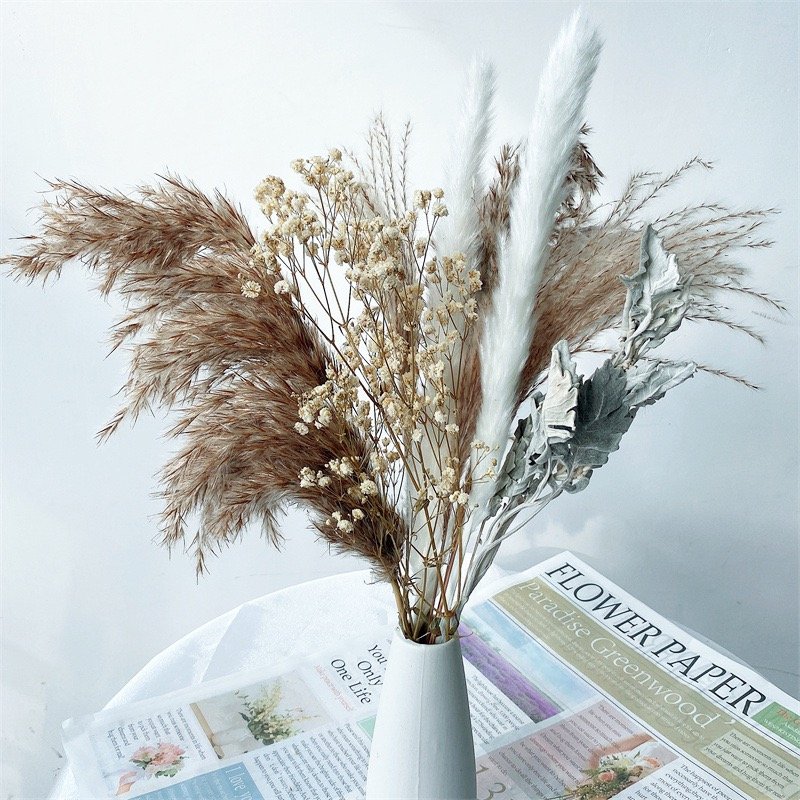 2022 New Natural Dried Flowers Bouquet Daisy Flowers Decor Artificial Gypsophila Cotton Bouquets Real Touch Flowers for Vase