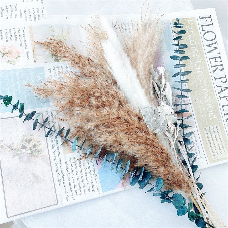 2022 New Natural Dried Flowers Bouquet Daisy Flowers Decor Artificial Gypsophila Cotton Bouquets Real Touch Flowers for Vase