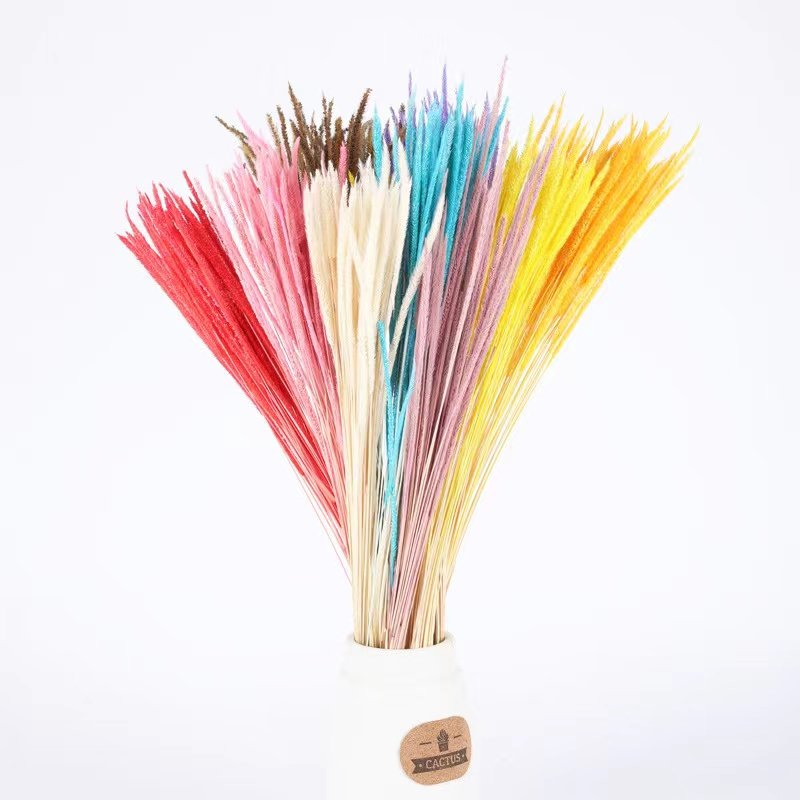 Origin straight dried flower home decoration goldenrod used Valentine's Day and Wedding decoration