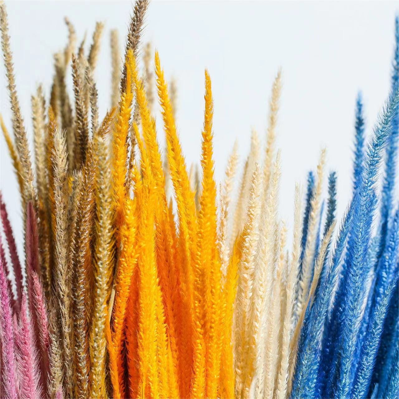 Origin straight dried flower home decoration goldenrod used Valentine's Day and Wedding decoration