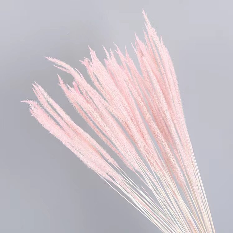 Origin straight dried flower home decoration goldenrod used Valentine's Day and Wedding decoration