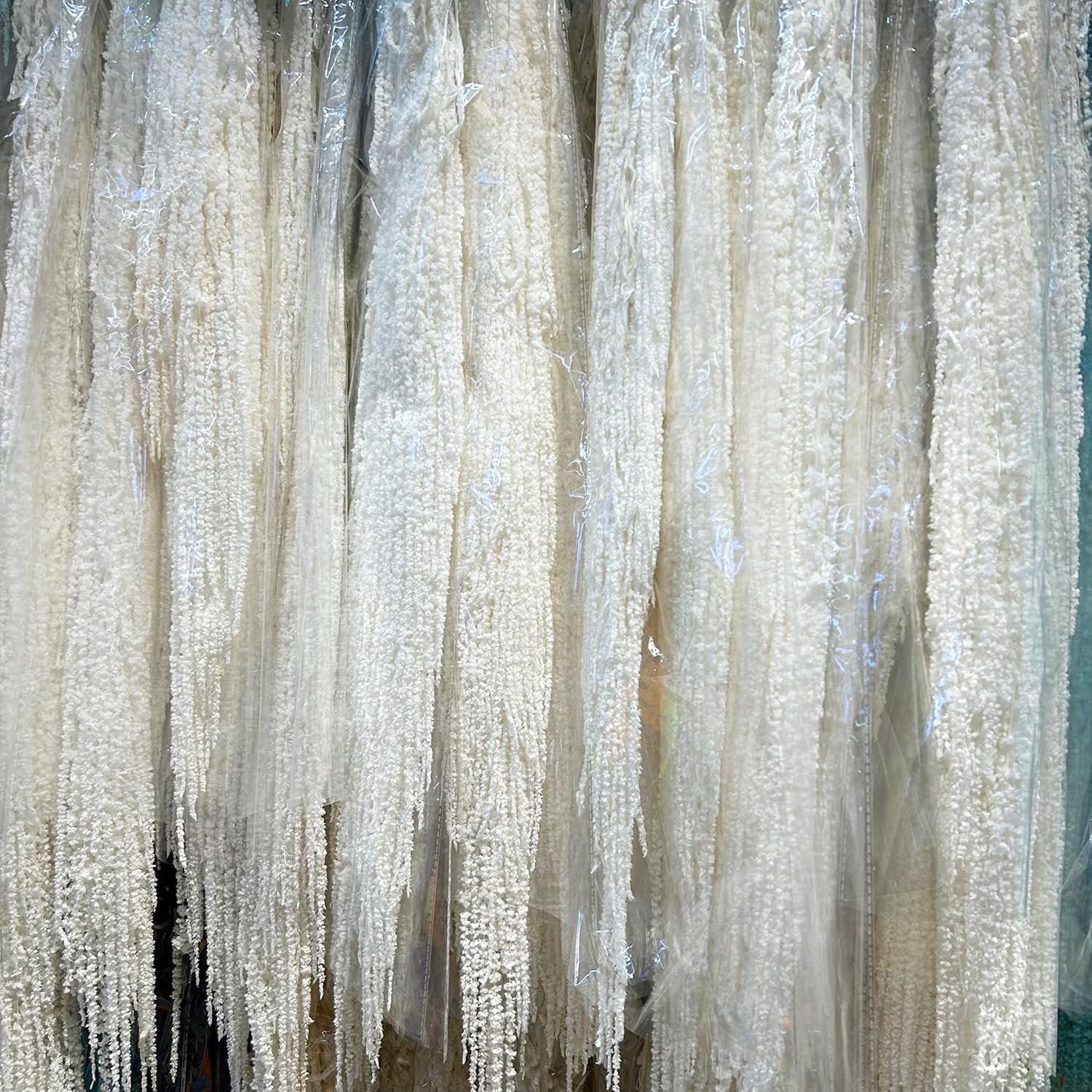 Colorful Dried Hanging Amaranthus Preserved Bleached Wisteria Hanging Vine Flowers for Wedding Bouquet Home Wall Decor
