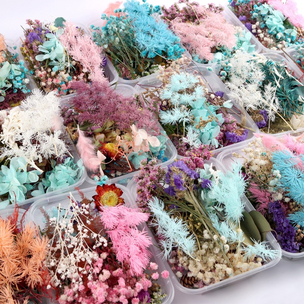 MF-L61Bulk Preserved Dried Flowers Mixed Dried Flowers Diy Dry Flower Materials Diy Photo Frame For Mobile Candle Handmade