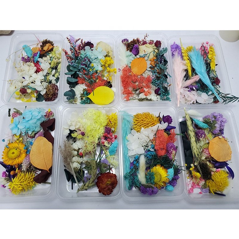 MF-L61Bulk Preserved Dried Flowers Mixed Dried Flowers Diy Dry Flower Materials Diy Photo Frame For Mobile Candle Handmade
