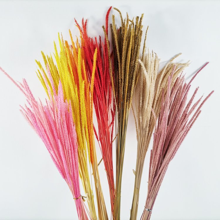 SumFlora New Product Ideas Valentine Gift show pieces for home decoration flowers dried flowers garden goldenrod