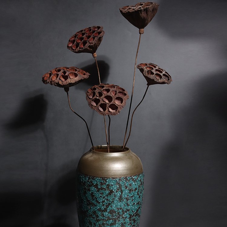 Wholesale nordic dried flower natural plant dipsacus sativus for home decoration
