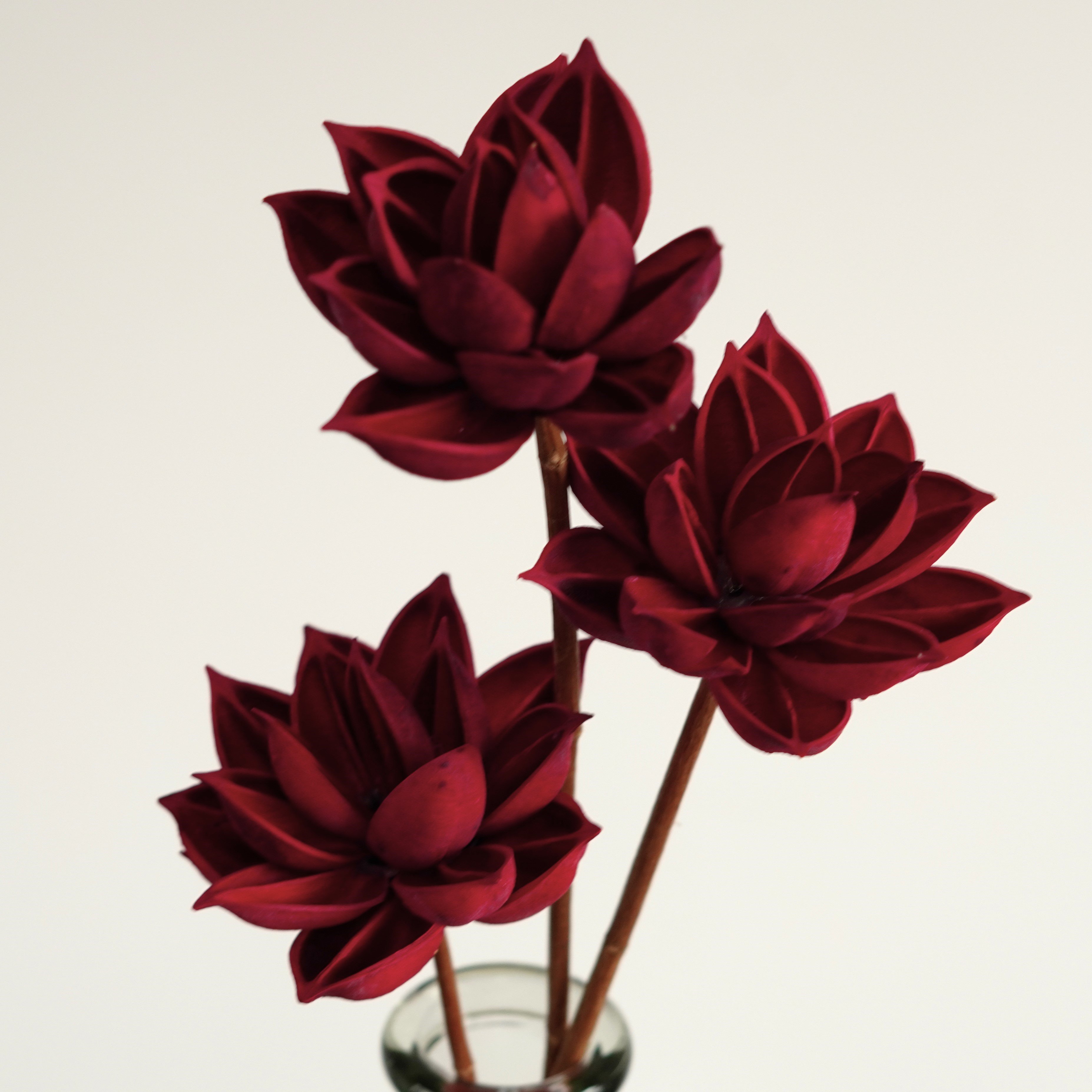 Handmade natural dried flowers home decor with Artificial Husk Flowers,Flower Arrangement