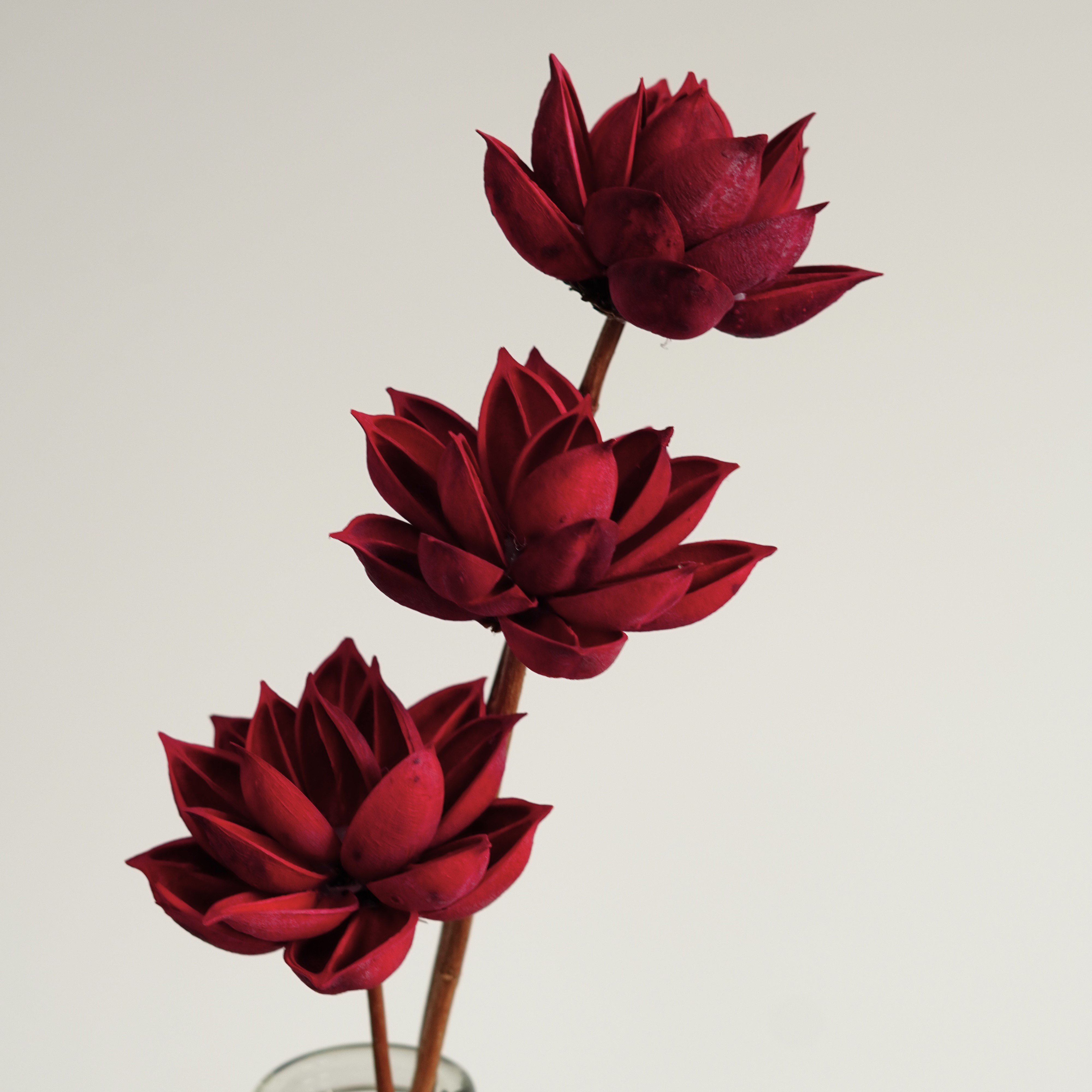 Handmade natural dried flowers home decor with Artificial Husk Flowers,Flower Arrangement
