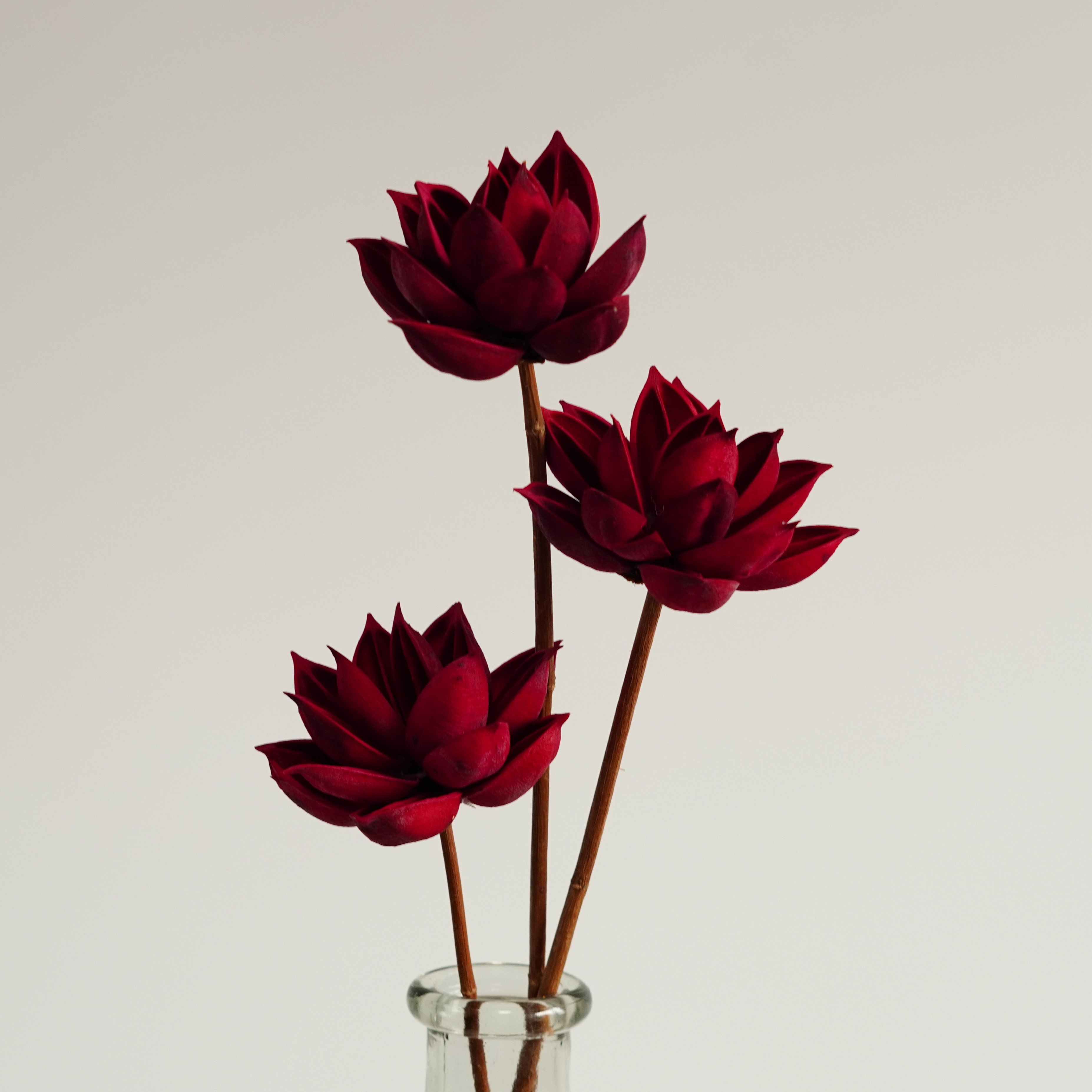 Handmade natural dried flowers home decor with Artificial Husk Flowers,Flower Arrangement