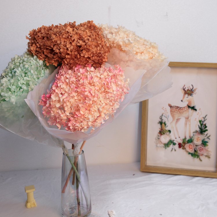 dry flower real touch dried flowers natural bulk big leaf preserved hydrangea flowers