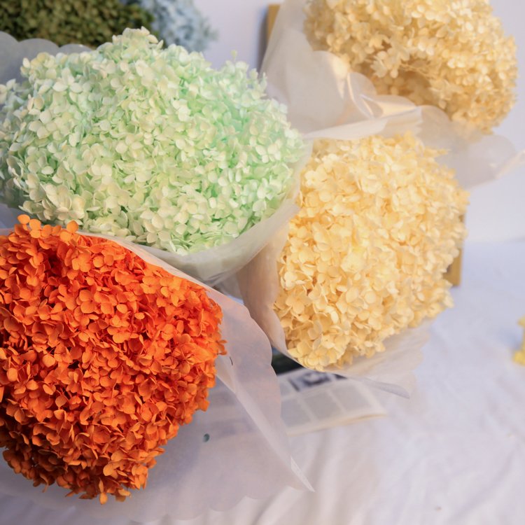 dry flower real touch dried flowers natural bulk big leaf preserved hydrangea flowers