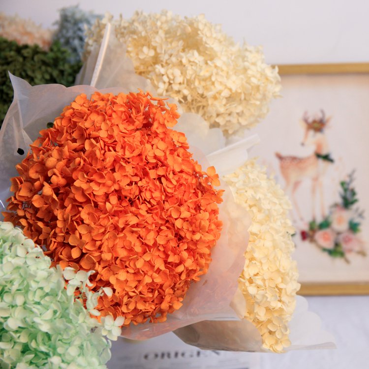 dry flower real touch dried flowers natural bulk big leaf preserved hydrangea flowers