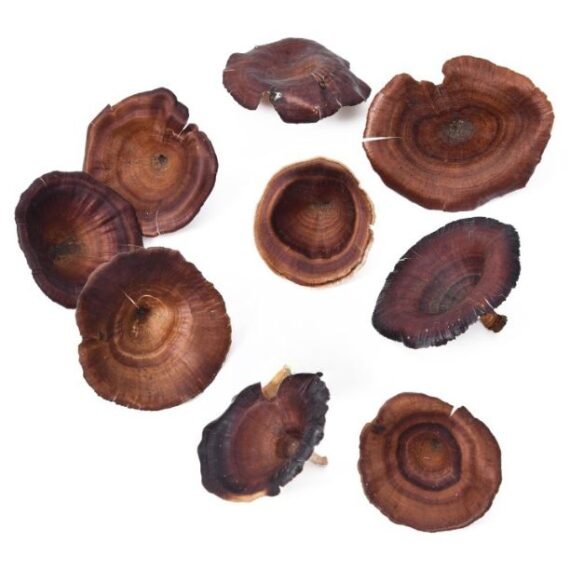High Quality Golden Mushroom Artificial Dried Flower For Home Decor Weeding Birthday Decoration