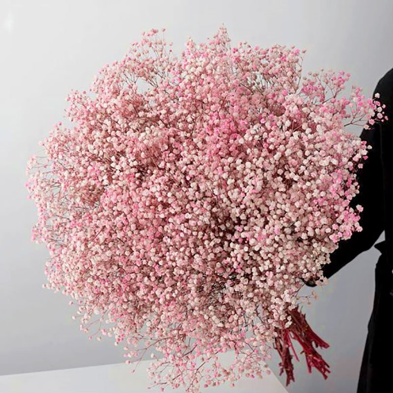 Wholesale dried preserved babybreath Florist Supplies Floral Accessories Preserved Flowers Babybreath