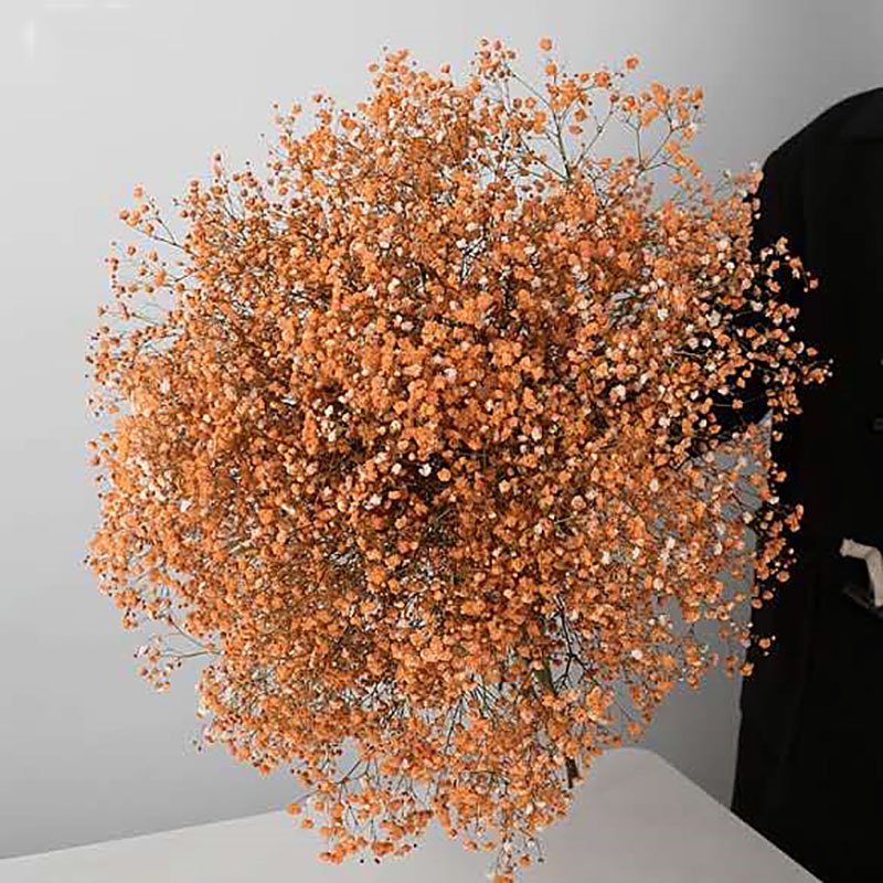 Wholesale dried preserved babybreath Florist Supplies Floral Accessories Preserved Flowers Babybreath