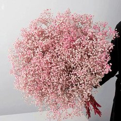 Pink-1