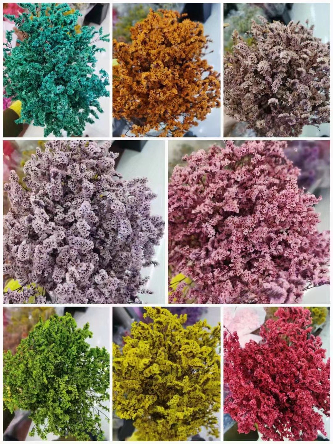 AX-18 Wholesale Dried Eternal Flowers Bouquets Crystal Grass Colorful Natural Preserved flower Crystal Grass for Home Wedding