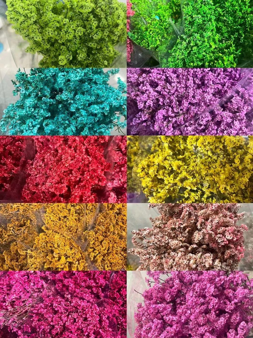 AX-18 Wholesale Dried Eternal Flowers Bouquets Crystal Grass Colorful Natural Preserved flower Crystal Grass for Home Wedding