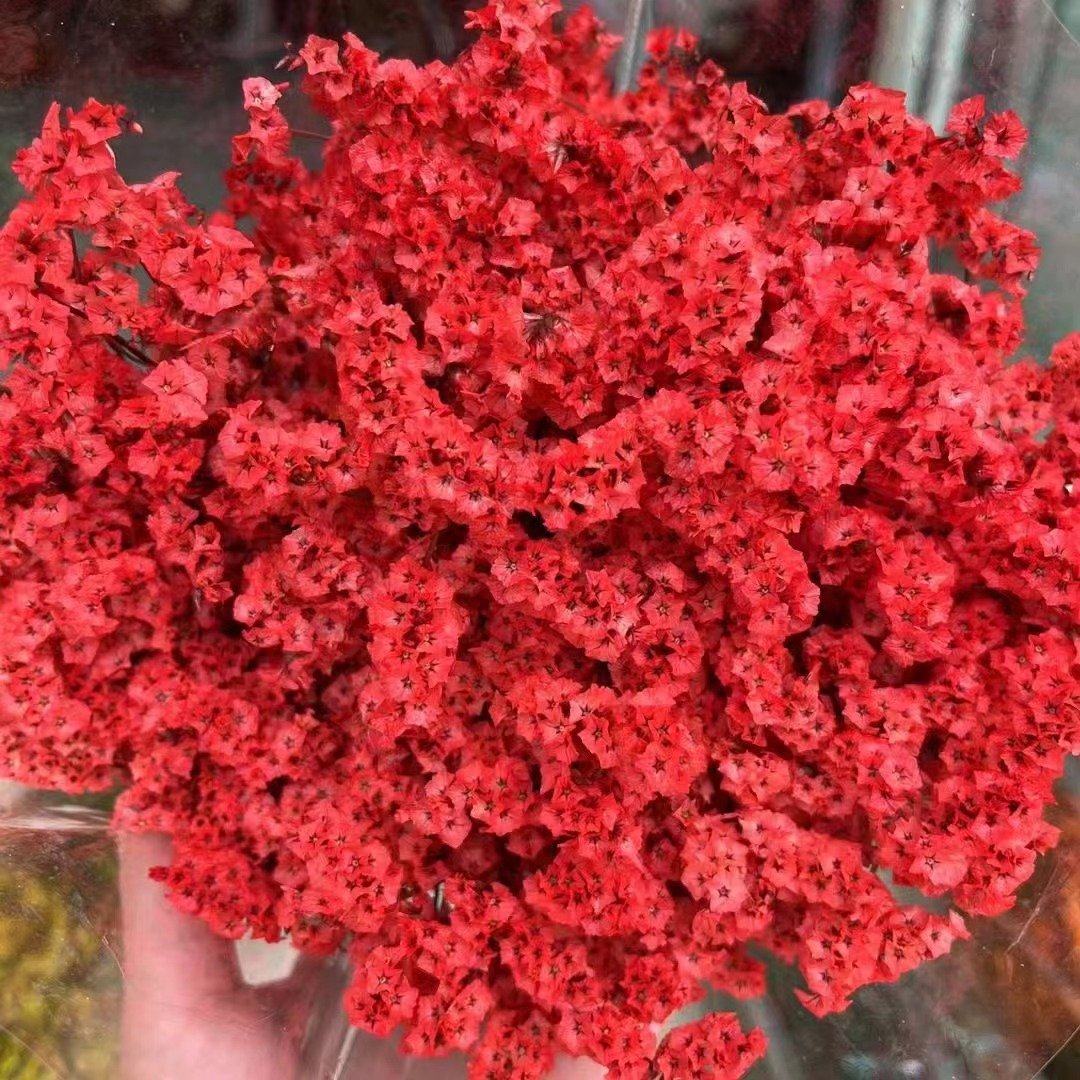 AX-18 Wholesale Dried Eternal Flowers Bouquets Crystal Grass Colorful Natural Preserved flower Crystal Grass for Home Wedding