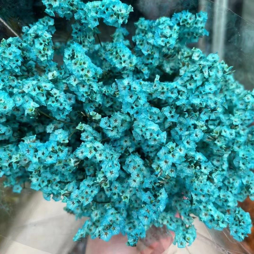 AX-18 Wholesale Dried Eternal Flowers Bouquets Crystal Grass Colorful Natural Preserved flower Crystal Grass for Home Wedding