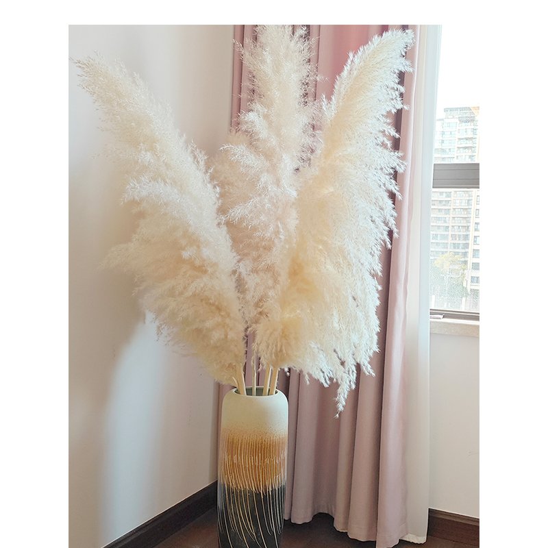 Good Quality Fluffy Tall Pampas Boho Decoration Home Table Centerpiece Grass Dried Natural Flower Arranging for Wedding Party