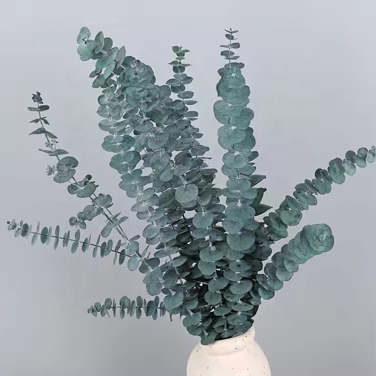 Luxury Custom Dry Flower Real Pressed Natural Dried Flowers Fascinating Eucalyptus Leaves