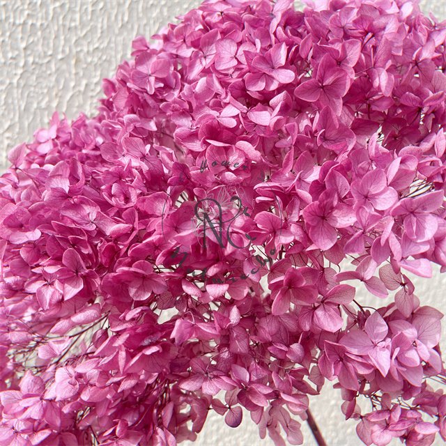 wholesale anna hydrangeas dried flowers real touch hydrangea flower preserved hydrangea gift wedding decoration