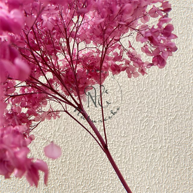 wholesale anna hydrangeas dried flowers real touch hydrangea flower preserved hydrangea gift wedding decoration