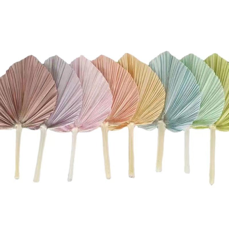 Top Seller Dried Flowers Palm Dry Fan Leaf Pampas Home Wedding Decoration Natural Dried Palm Leaves