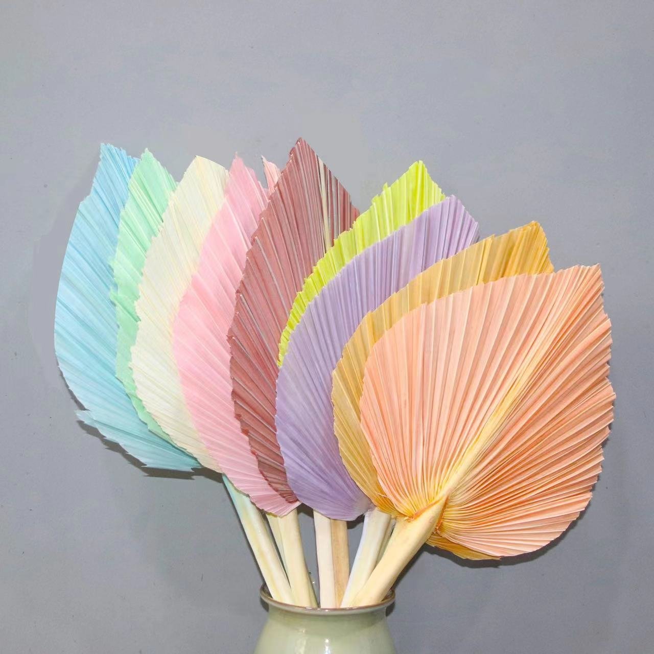 Top Seller Dried Flowers Palm Dry Fan Leaf Pampas Home Wedding Decoration Natural Dried Palm Leaves