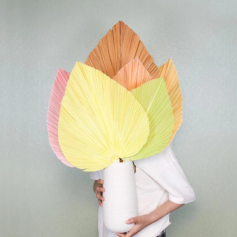 Top Seller Dried Flowers Palm Dry Fan Leaf Pampas Home Wedding Decoration Natural Dried Palm Leaves