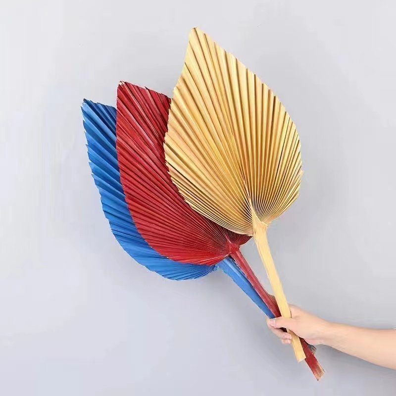 Top Seller Dried Flowers Palm Dry Fan Leaf Pampas Home Wedding Decoration Natural Dried Palm Leaves