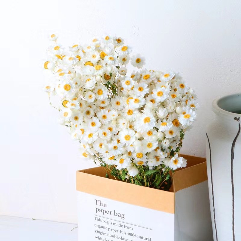 Factory direct sales of dried flowers natural rabbit tail grass decorative flowers wedding dried flowers ornaments