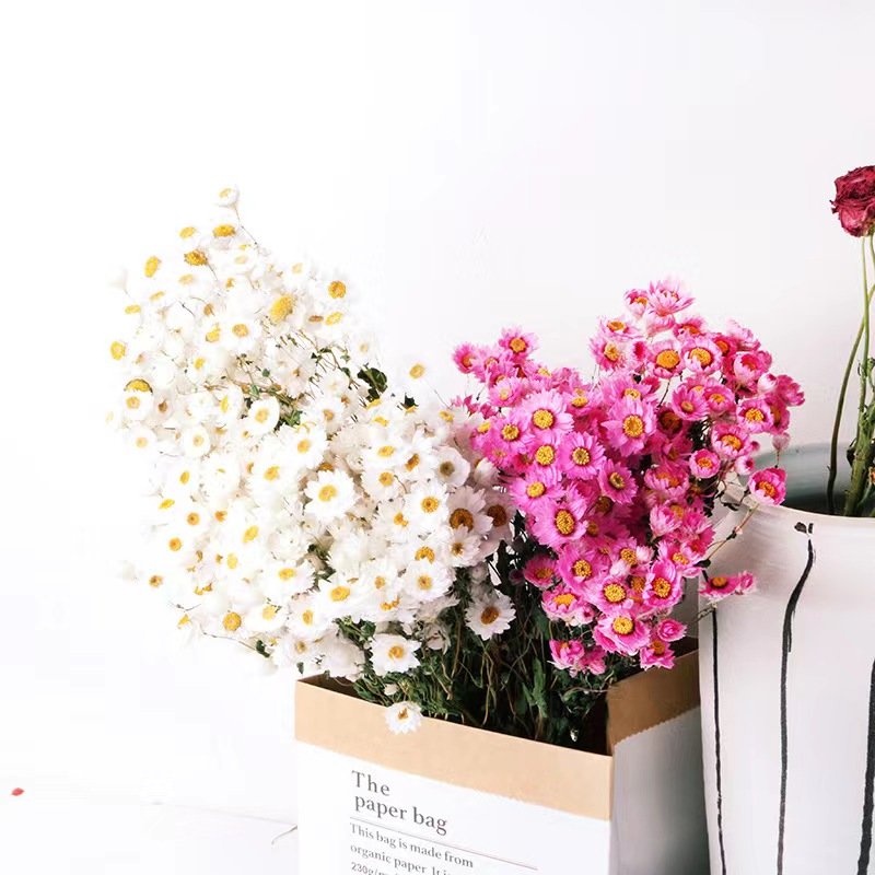 Factory direct sales of dried flowers natural rabbit tail grass decorative flowers wedding dried flowers ornaments
