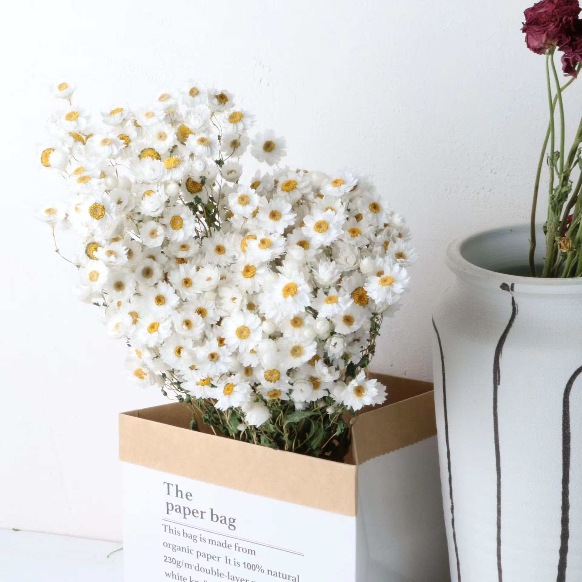 Factory direct sales of dried flowers natural rabbit tail grass decorative flowers wedding dried flowers ornaments