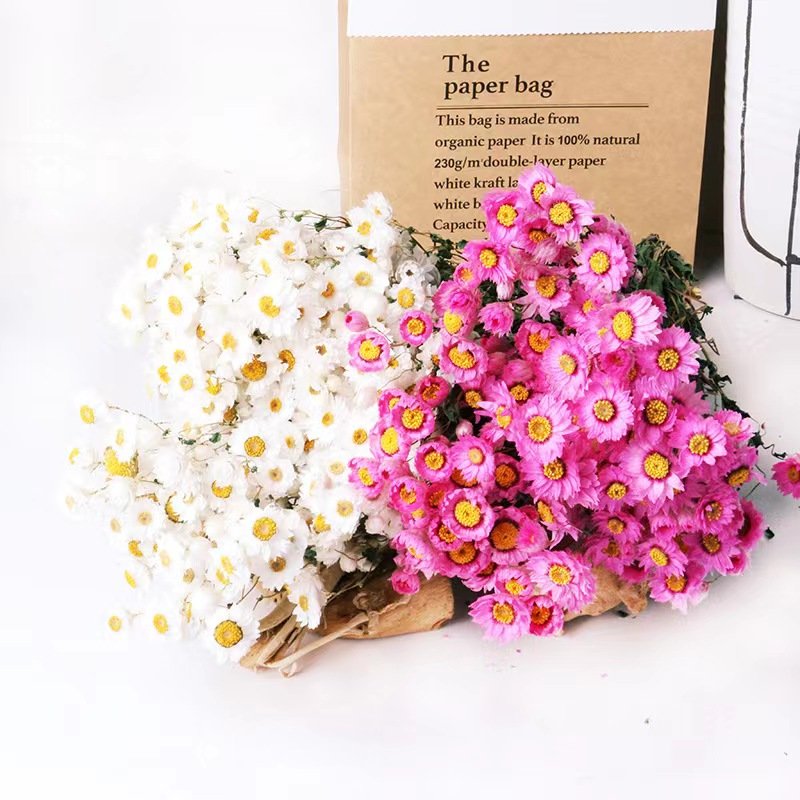 Factory direct sales of dried flowers natural rabbit tail grass decorative flowers wedding dried flowers ornaments