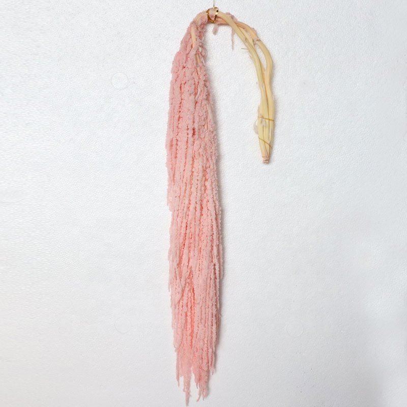 Preserved Dry Real Long 5pcs/bundle Amaranthus Wedding Hanging Foliage For Home Party Wedding Decoration