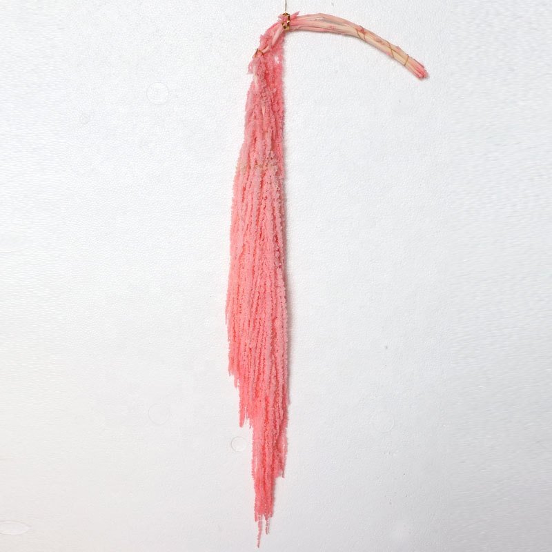 Preserved Dry Real Long 5pcs/bundle Amaranthus Wedding Hanging Foliage For Home Party Wedding Decoration