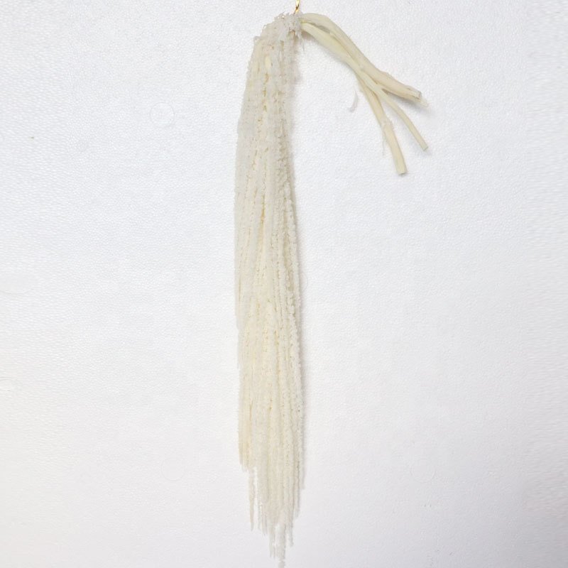 Preserved Dry Real Long 5pcs/bundle Amaranthus Wedding Hanging Foliage For Home Party Wedding Decoration