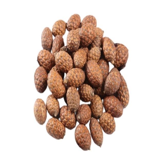 Popular Premium Quality Cane Fruit for Potpourri for Wedding Home Event Office Decor & Dried Flower Arrangement